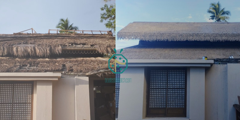 Natural Nipa Thatch Roof Comparing with Artificial Nipa Thatch Roof Natural Nipa Thatch Roof Comparing with Artificial Nipa Thatch Roof