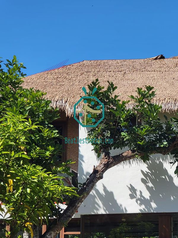 Nipa Thatch Roof Installation in Laguna, Philippines Nipa Thatch Roof Installation in Laguna, Philippines