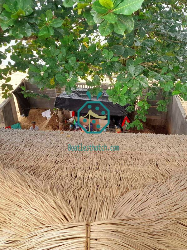 Plastic Nipa Roof Decoration in Gitagum Misamis Oriental Plastic Nipa Roof Decoration in Gitagum Misamis Oriental