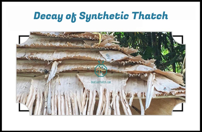 Decay of Synthetic Thatch for Resort Hotels