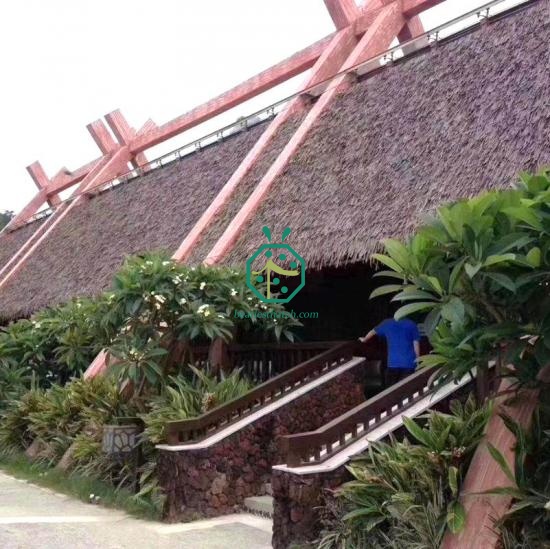 Fiji thatched roof