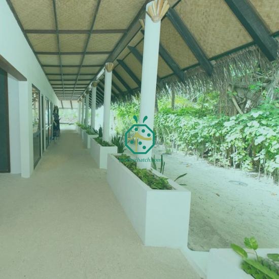 Fake bamboo ceiling lining USA