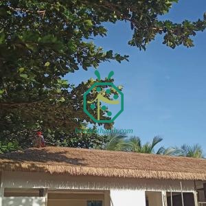 Tropical thatch roof covering for your garden patio