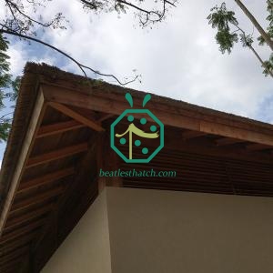 Africa Lapa Thatch Roof Renovation by Synthetic Thatch Roof Tiles