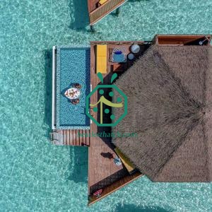 Plastic Coconut Thatch Roof Products Be Customized for Your Resort Seaview Villa
