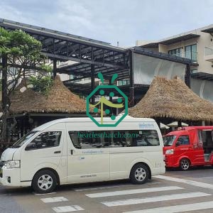 Summer Gathering House Synthetic Tahiti Thatch Roofing