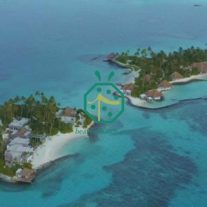 Maldives Artificial Thatched Roof Materials For Taste Restaurant