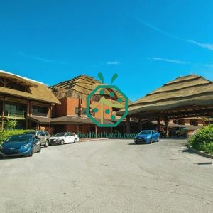 Various Styles Imitation Straw Thatched Roofs Solution Saudi Arabia