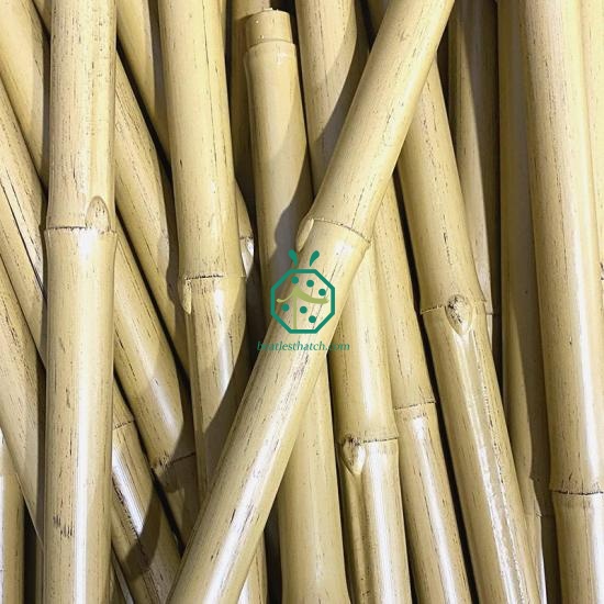 UV-proof Synthetic Bamboo Poles for Park Fence