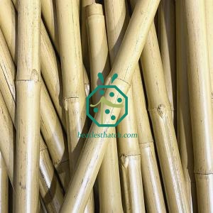 UV-proof Synthetic Bamboo Poles for Park Fence