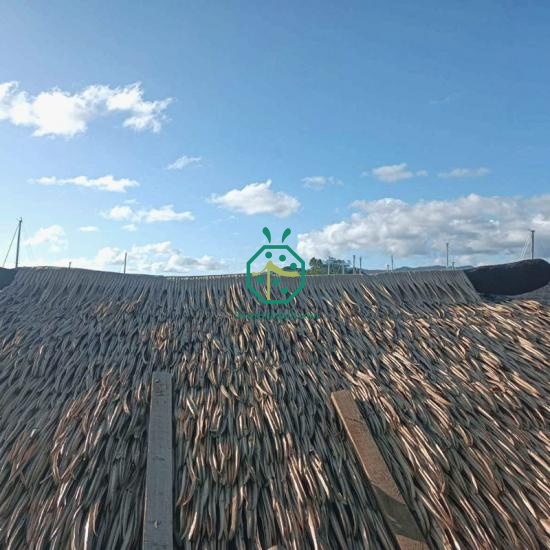 Palm thatch roof coverings