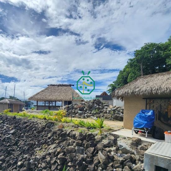 Palm thatch roof coverings
