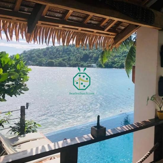 techos de palma costa rica