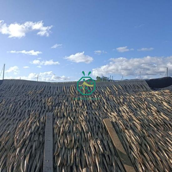 Malaysia Fireproof Artificial Palm Tree Thatched Roof Designs