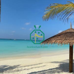 Swimming Pool Umbrella Windproof Artificial Thatch Roof System for Resort Hotel