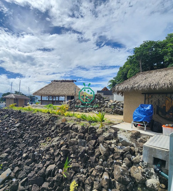 Fiji Island House Construction with Synthetic Palm Thatch Panels